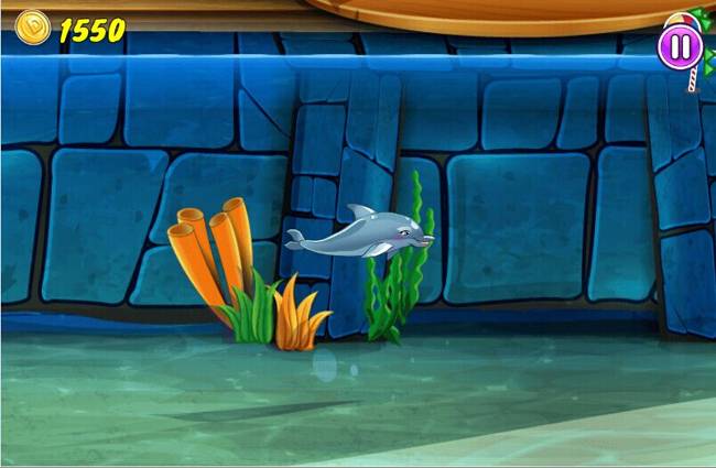 我的海豚表演7截图