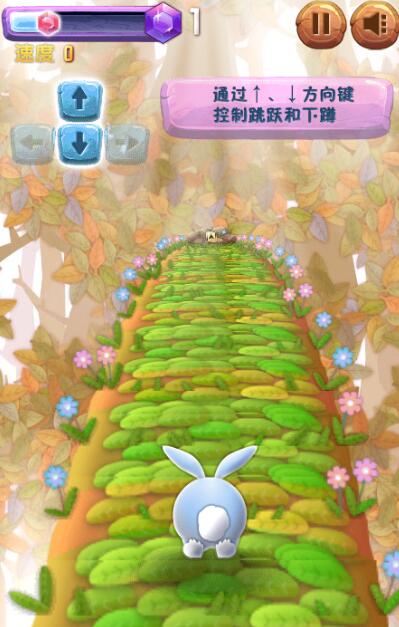 奔跑吧兔子截图