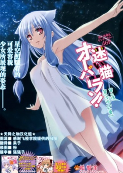 娇蛮猫娘大横行