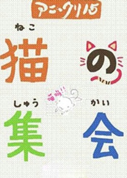 猫的集会